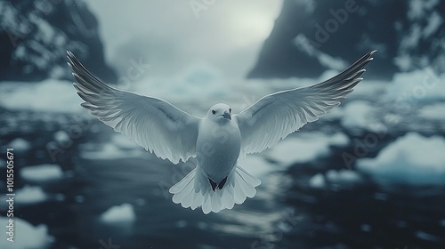 an A snow petrel soaring over the icy, frozen seas of Antarctica. photo