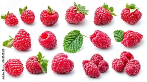 Vibrant raspberry collection arranged on a pristine white background showcasing fresh berries for healthy eating natural snacks and culinary delights