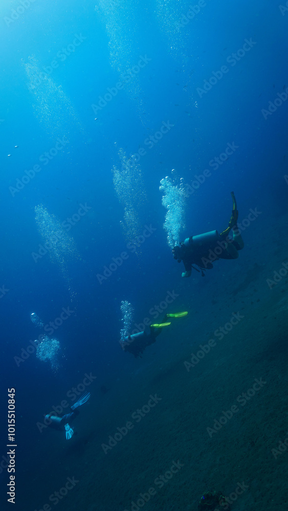 Scuba divers - Underwater world and universe in the blue ocean Scuba divers - Underwater world and universe in the blue ocean