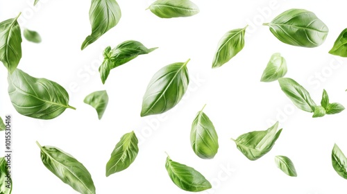 Wallpaper Mural Dynamic aerial view of vibrant green organic basil leaves in mid-air emphasizing fresh herbs culinary spices and healthy cooking ingredients for food lovers. Torontodigital.ca