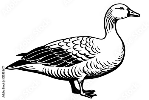 snow goose silhouette minimalistic vector art illustration photo