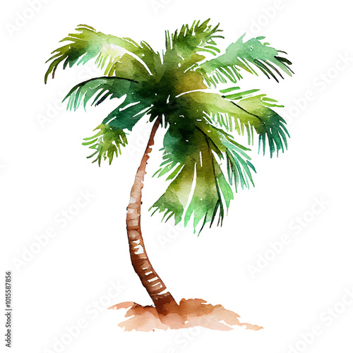 Palm Tree watercolor art isolated on white background. Tropical green Hawaiian flora, summer palm watercolour hand drawn painting for greeting card, travel, vacation or holidays designs or prints