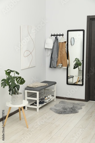 Mirror, houseplant and bench in stylish hallway