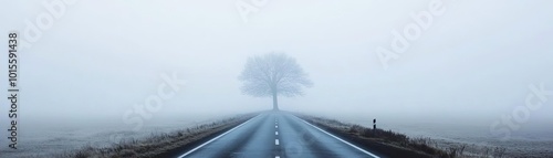 A serene road surrounded by fog, leading to a solitary tree in the distance, evoking a sense of mystery and tranquility.