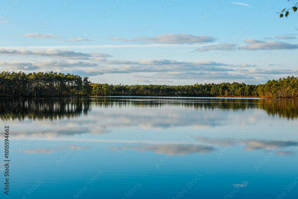 A peaceful scene featuring a calm lake reflecting a dense forest under a clear blue sky. The grassy shoreline is bathed in warm, golden light, adding depth and tranquility to the landscape. A peaceful scene featuring a calm lake reflecting a dense forest under a clear blue sky. The grassy shoreline is bathed in warm, golden light, adding depth and tranquility to the landscape.