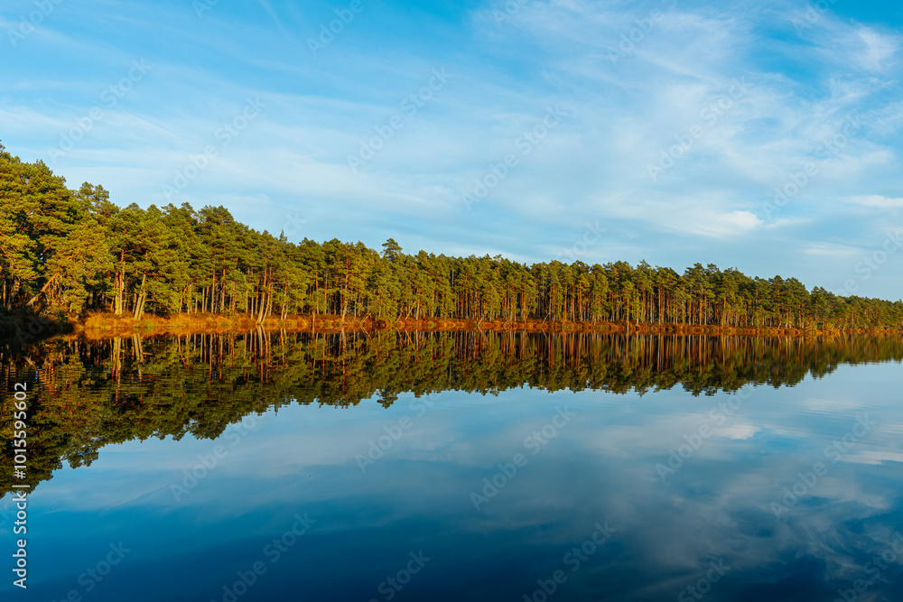 Fototapeta premium A tranquil lakeside view with tall golden grasses in the foreground and a clear reflection of trees and sky on the calm water. The blue sky and wispy clouds enhance the peaceful, natural scene.