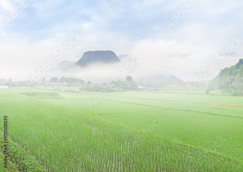 玖珠町の田園風景と伐株山