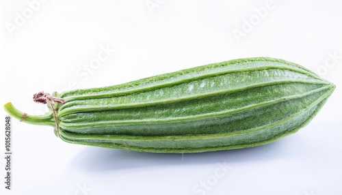 Ridge gourd (turai) on white background. Ridge gourd turai Isolated. photo