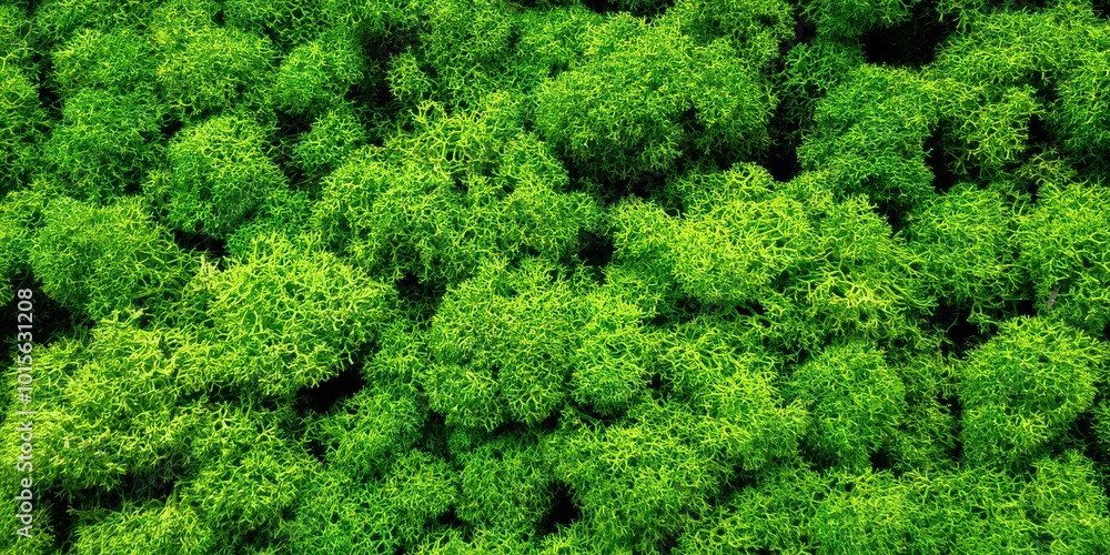 Vibrant green moss texture: a natural carpet of lush foliage and organic patterns Vibrant green moss texture: a natural carpet of lush foliage and organic patterns