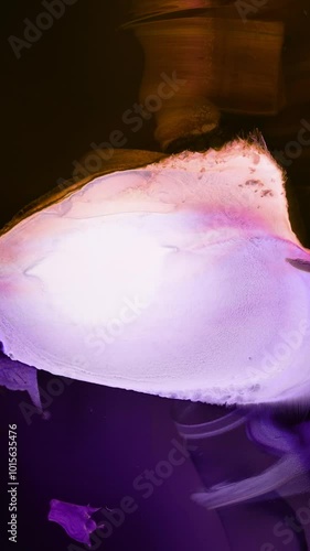 Wallpaper Mural A mesmerizing display of colorful light reflections on water during sunset at a serene lakeside in autumn Torontodigital.ca