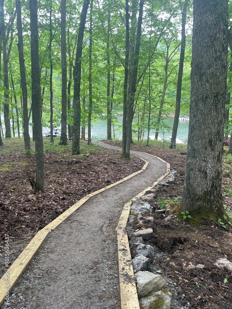Pathway to the Lake Pathway to the Lake