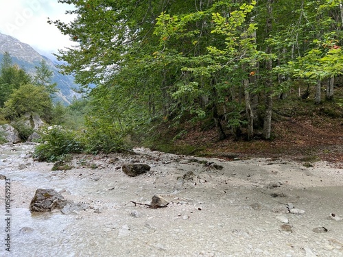 The Suhi potok Stream or Dry Creek in Zadnja Trenta, Bovec (Triglav National Park, Slovenia) - Der Bach Suhi potok in Zadnja Trenta (Triglav-Nationalpark, Slowenien) - Suhi potok (desni pritok Vrsnika photo