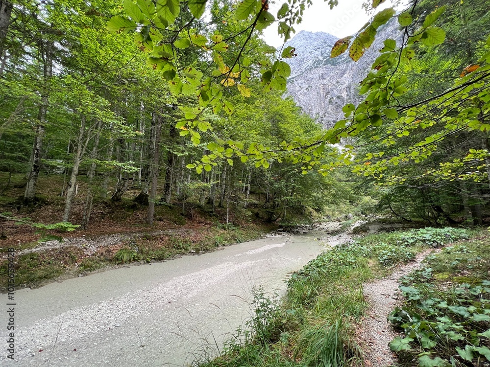 Obraz premium The Suhi potok Stream or Dry Creek in Zadnja Trenta, Bovec (Triglav National Park, Slovenia) - Der Bach Suhi potok in Zadnja Trenta (Triglav-Nationalpark, Slowenien) - Suhi potok (desni pritok Vrsnika