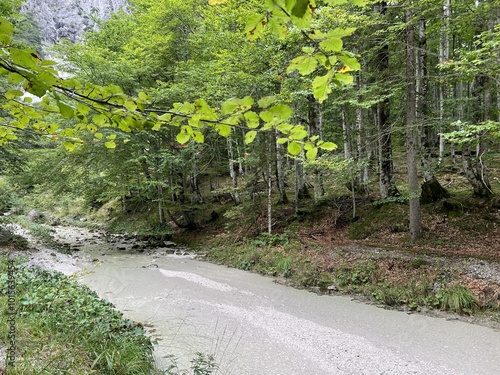 The Suhi potok Stream or Dry Creek in Zadnja Trenta, Bovec (Triglav National Park, Slovenia) - Der Bach Suhi potok in Zadnja Trenta (Triglav-Nationalpark, Slowenien) - Suhi potok (desni pritok Vrsnika photo