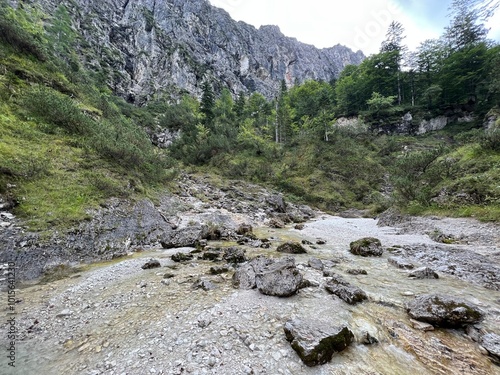 The Suhi potok Stream or Dry Creek in Zadnja Trenta, Bovec (Triglav National Park, Slovenia) - Der Bach Suhi potok in Zadnja Trenta (Triglav-Nationalpark, Slowenien) - Suhi potok (desni pritok Vrsnika photo