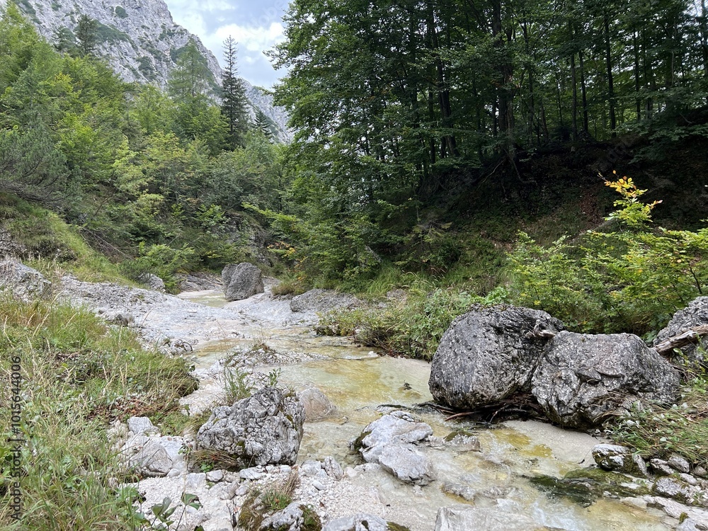 The Suhi potok Stream or Dry Creek in Zadnja Trenta, Bovec (Triglav National Park, Slovenia) - Der Bach Suhi potok in Zadnja Trenta (Triglav-Nationalpark, Slowenien) - Suhi potok (desni pritok Vrsnika The Suhi potok Stream or Dry Creek in Zadnja Trenta, Bovec (Triglav National Park, Slovenia) - Der Bach Suhi potok in Zadnja Trenta (Triglav-Nationalpark, Slowenien) - Suhi potok (desni pritok Vrsnika