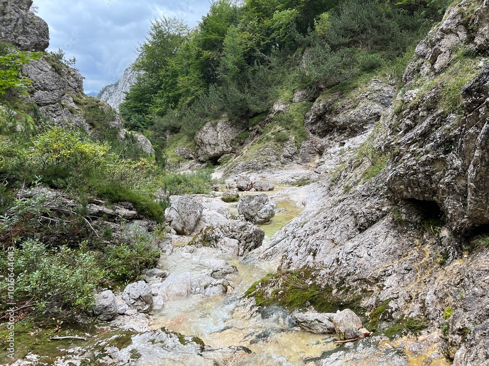 The Suhi potok Stream or Dry Creek in Zadnja Trenta, Bovec (Triglav National Park, Slovenia) - Der Bach Suhi potok in Zadnja Trenta (Triglav-Nationalpark, Slowenien) - Suhi potok (desni pritok Vrsnika The Suhi potok Stream or Dry Creek in Zadnja Trenta, Bovec (Triglav National Park, Slovenia) - Der Bach Suhi potok in Zadnja Trenta (Triglav-Nationalpark, Slowenien) - Suhi potok (desni pritok Vrsnika