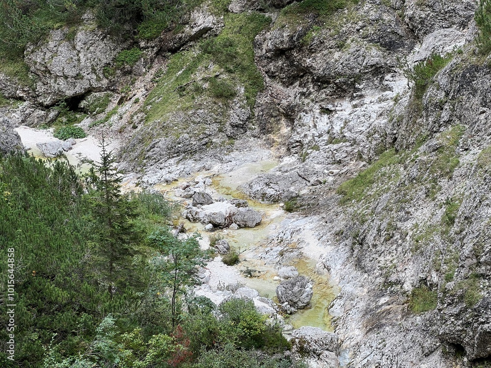 The Suhi potok Stream or Dry Creek in Zadnja Trenta, Bovec (Triglav National Park, Slovenia) - Der Bach Suhi potok in Zadnja Trenta (Triglav-Nationalpark, Slowenien) - Suhi potok (desni pritok Vrsnika The Suhi potok Stream or Dry Creek in Zadnja Trenta, Bovec (Triglav National Park, Slovenia) - Der Bach Suhi potok in Zadnja Trenta (Triglav-Nationalpark, Slowenien) - Suhi potok (desni pritok Vrsnika