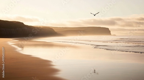 A lone seagull flies over a tranquil beach at sunrise, with a cliff in the background.