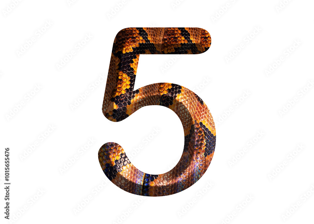 5, number shape with snake skin motif design, python skin. 5, number shape with snake skin motif design, python skin.