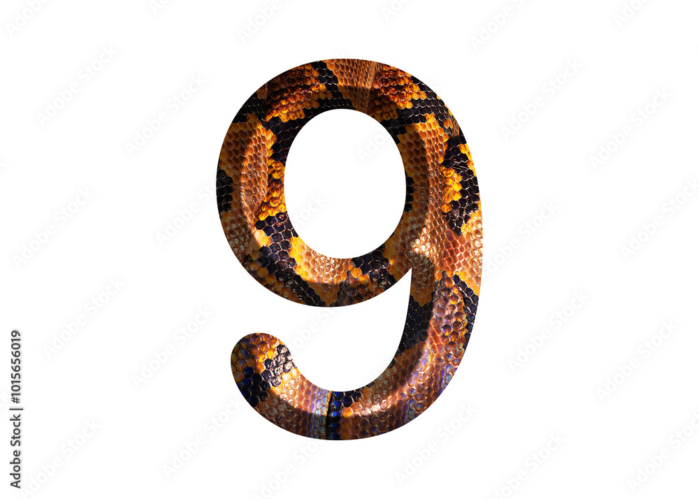 9, number shape with snake skin motif design, python skin. 9, number shape with snake skin motif design, python skin.