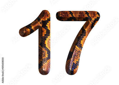 17, number shape with snake skin motif design, python skin. photo