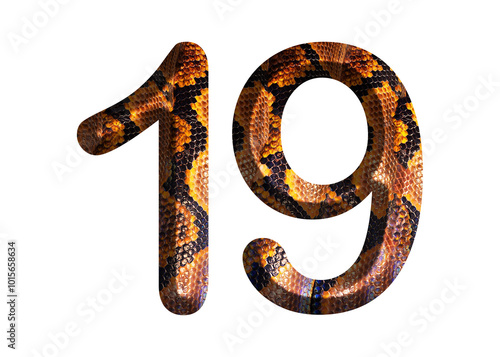 19, number shape with snake skin motif design, python skin. photo