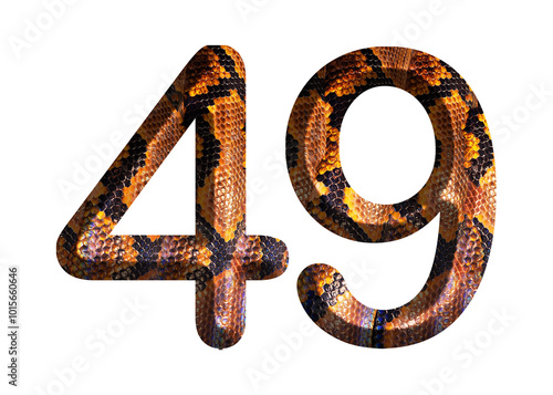 49, number shape with snake skin motif design, python skin.