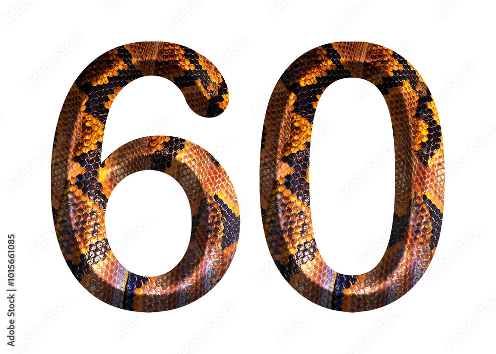 60, number shape with snake skin motif design, python skin. 60, number shape with snake skin motif design, python skin.