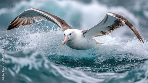 An albatross glides effortlessly over the ocean waves, its wings spread wide as it rides the wind currents of the Pacific.