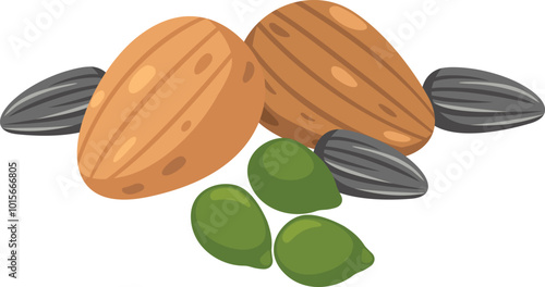 illustration of on nuts a white background