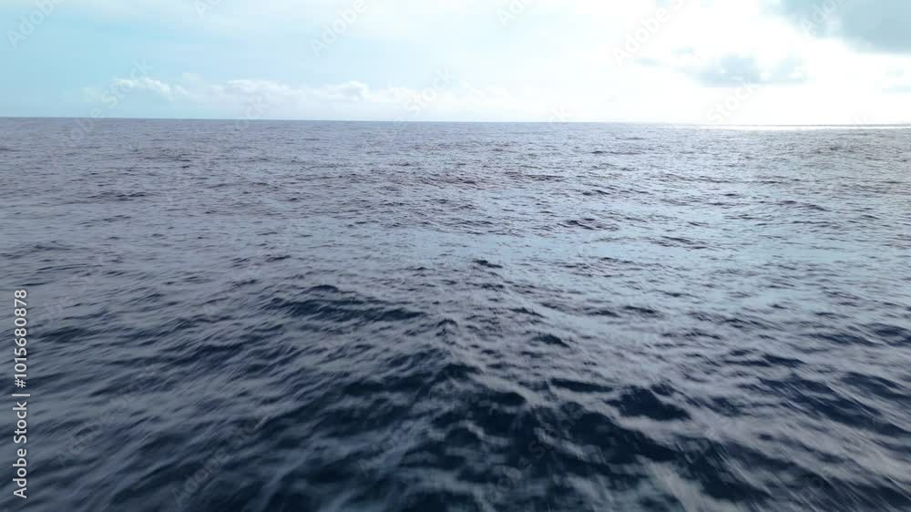 Calm ocean under a soft cloudy sky with subtle light reflecting on the water, peaceful and serene Calm ocean under a soft cloudy sky with subtle light reflecting on the water, peaceful and serene