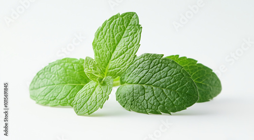 Mint leaves on white background close up, created with Generative AI technology