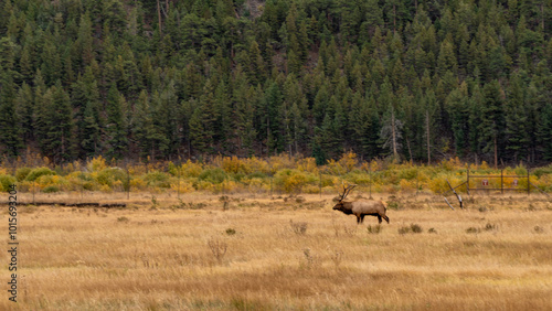 Fall colors and autumn in Rocky Mountain National Park, Colorado. Estes Park, Colorado.