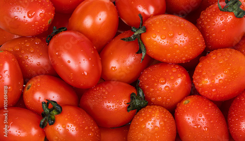 Close-up of fresh cherry tomatoes. Solanum lycopersicum var. cerasiforme photo