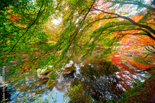 Autumnal view of Dosolcheon Stream at Seonunsa Temple near Gochang-gun, Korea photo