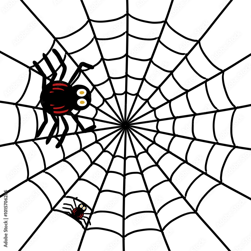 Obraz premium spider on web halloween