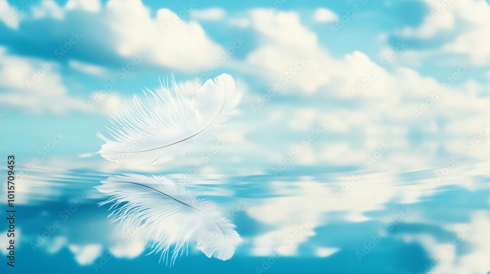 Single white feather floating above calm blue water with clouds reflected. Single white feather floating above calm blue water with clouds reflected.