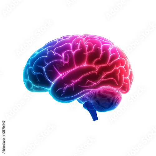 Vibrant neon brain illustration showcasing cognitive functions and neural connections, perfect for educational and artistic purposes.