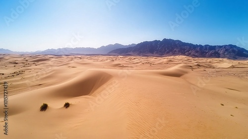 Aerial View of Majestic Desert Landscape