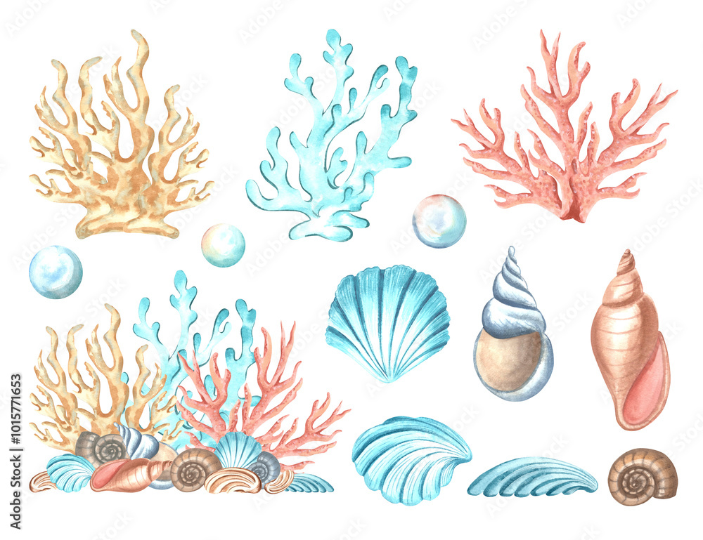 Corals and seashells underwater decor collection. Set of watercolor hand drawn illustration isolated. Mediterranean and tropical sea theme. Clipart nautical stile for cosmetic, card, sticker, interior Corals and seashells underwater decor collection. Set of watercolor hand drawn illustration isolated. Mediterranean and tropical sea theme. Clipart nautical stile for cosmetic, card, sticker, interior