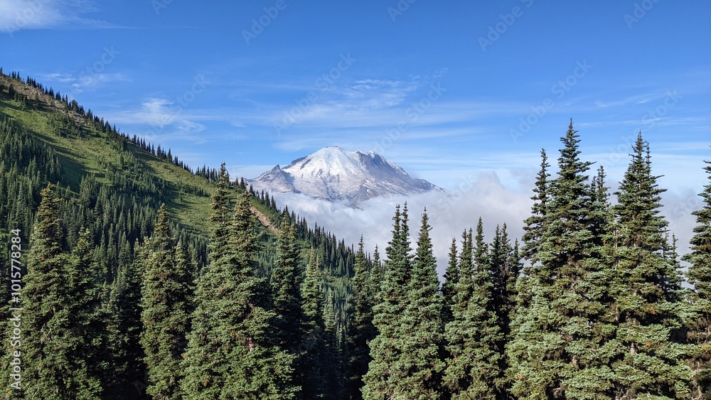 Mountain View Mountain View