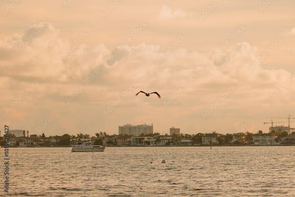 Obraz premium seagulls on the beach