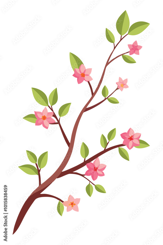 Statice Branch with Colorful Flowers on a Bright White Background for Nature and Floral Art Statice Branch with Colorful Flowers on a Bright White Background for Nature and Floral Art