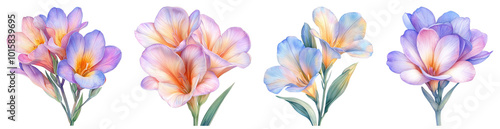 A charming pastel watercolor illustration of a Freesia flower, presented against a transparent background.