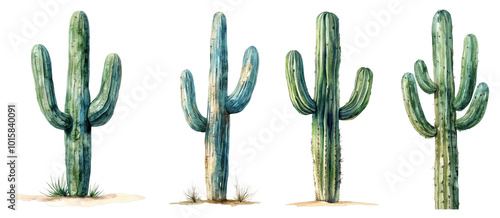 A beautiful pastel watercolor illustration of a tall saguaro cactus, showcased on a transparent background.
