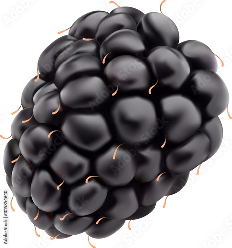 Raw realistic blackberry or ripe berry in 3D, isolated vector for fruit products. Fresh raw blackberry for natural juice or fruity jam package and organic berry food product or dessert