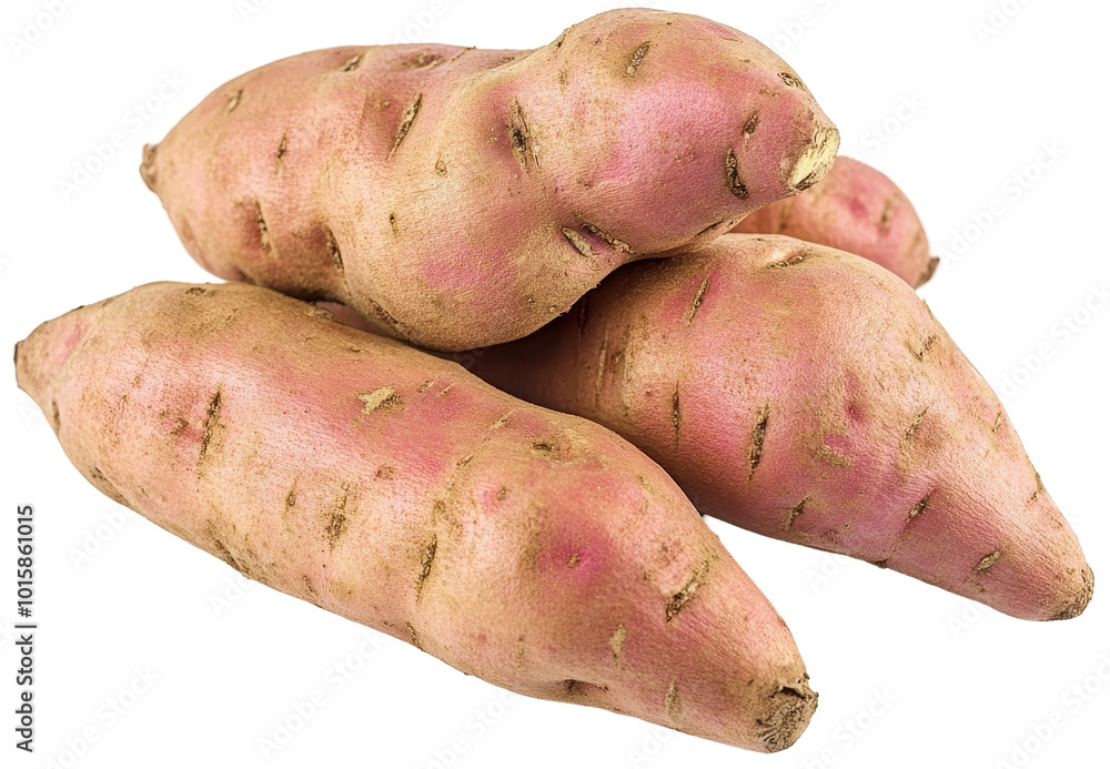 Pile of sweet potatoes with pinkish skin isolated on transparent background Pile of sweet potatoes with pinkish skin isolated on transparent background