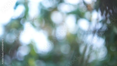 The movement of camera looking at blurred green background of vegetation of trees outside window. Abstract background for movies where person after hitting his head stopped seeing world normally