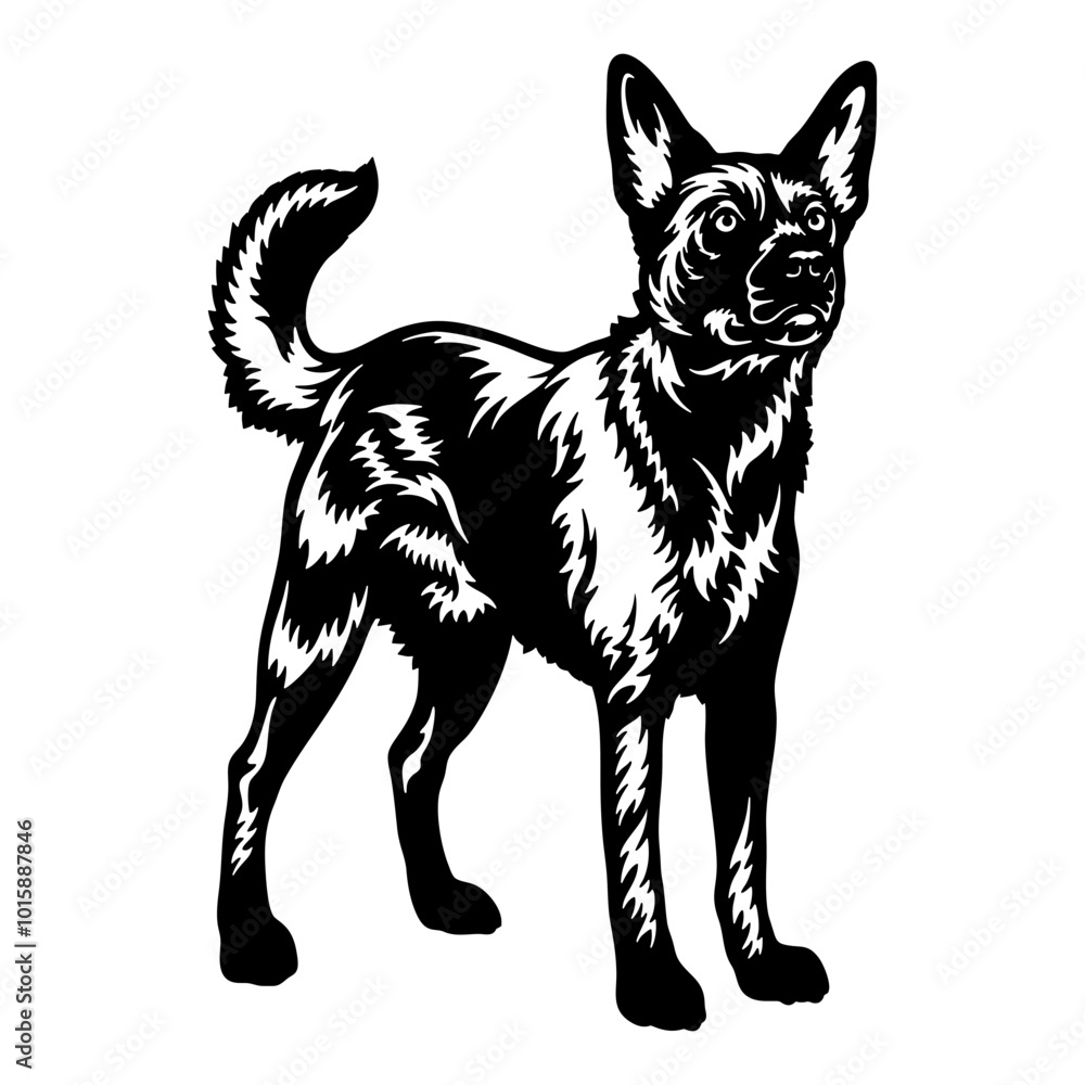 Australian Kelpie Dog Breed - Pet Vector Cut file, Dog Silhouette Stencil - Cricut file Australian Kelpie Dog Breed - Pet Vector Cut file, Dog Silhouette Stencil - Cricut file